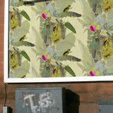 merian palm superwide wallpaper by timorous beasties on adorn.house