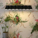 seaweed and shell wallpaper by timorous beasties on adorn.house