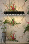 seaweed and shell wallpaper, timorous beasties, wallpaper, - adorn.house