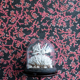 coral cork wallpaper by timorous beasties on adorn.house