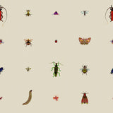 insect grid wallpaper by timorous beasties on adorn.house