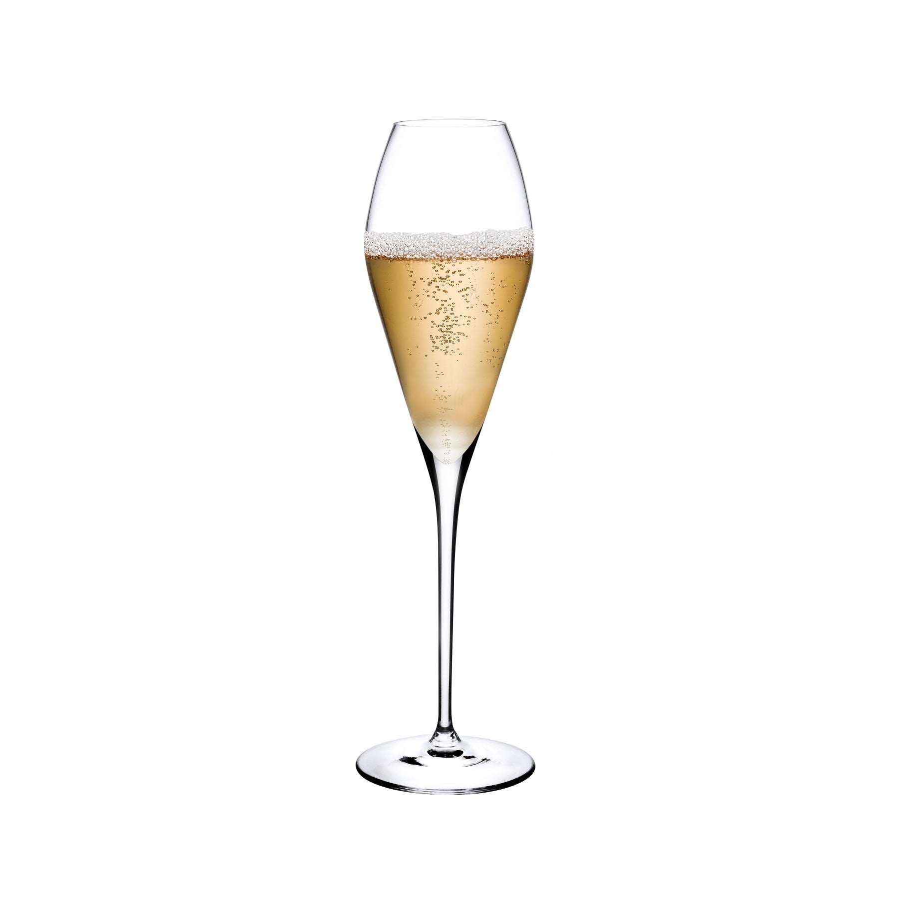 fantasy set of 2 champagne glasses by nude at adorn.house 