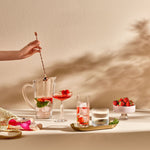 big top set of 2 coupe glasses by nude at adorn.house