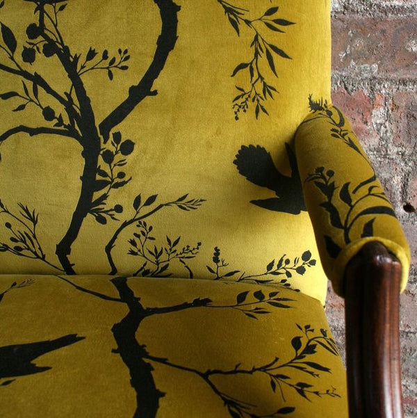 birdbranch stripe velvet fabric, timorous beasties, fabric, - adorn.house