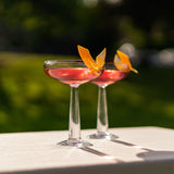 big top set of 2 coupe glasses by nude at adorn.house