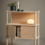 elevate 2 door cabinet oak by woud at adorn.house