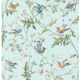 hummingbirds, cole and son, wallpaper, - adorn.house