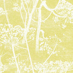 cow parsley, cole and son, wallpaper, - adorn.house