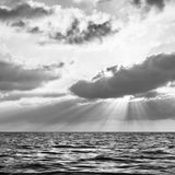 beyond the sea