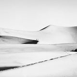 desert walker
