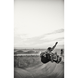 skateboarder