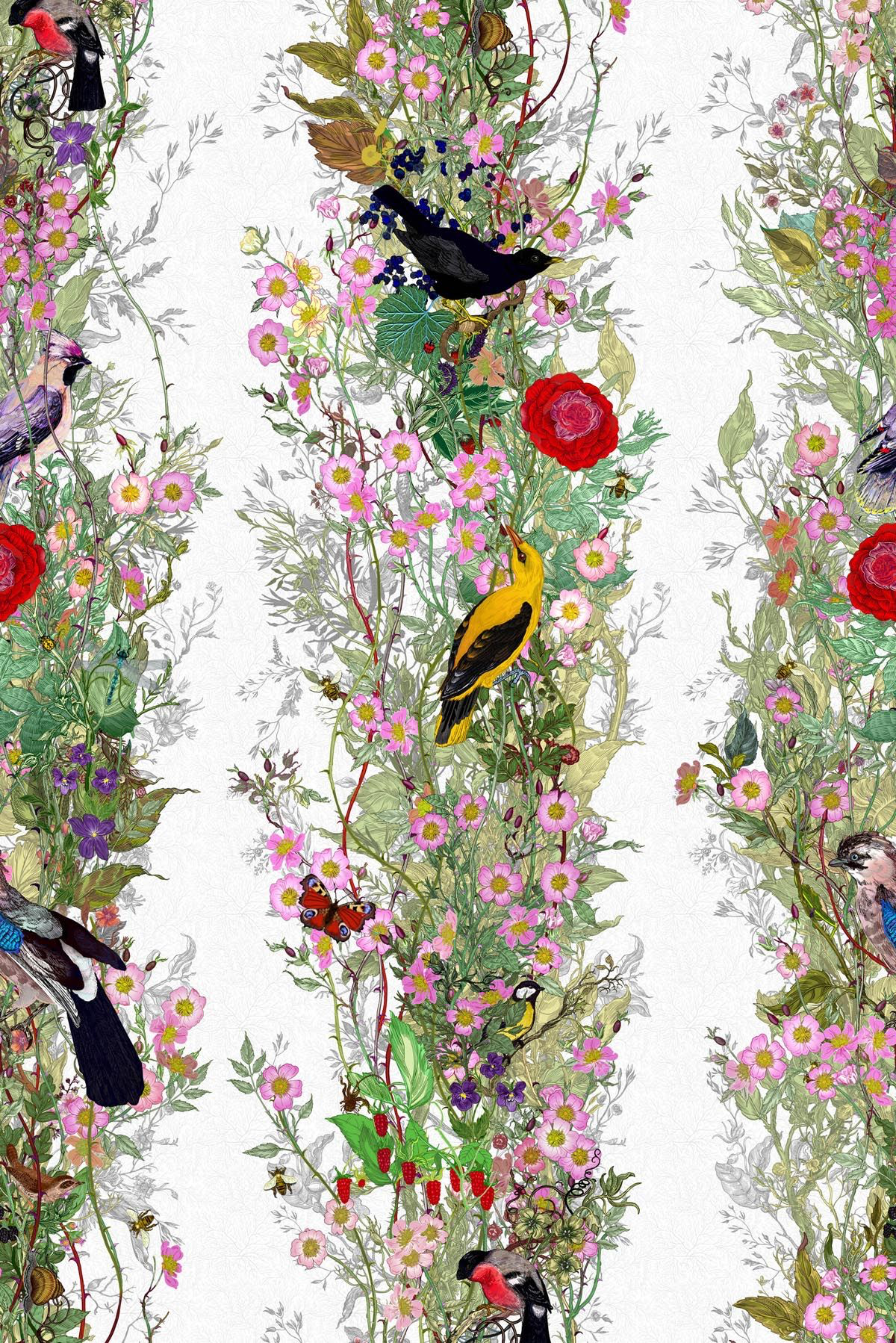fruit looters wallpaper by timorous beasties on adorn.house