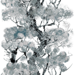 pinyin tree superwide wallpaper by timorous beasties on adorn.house