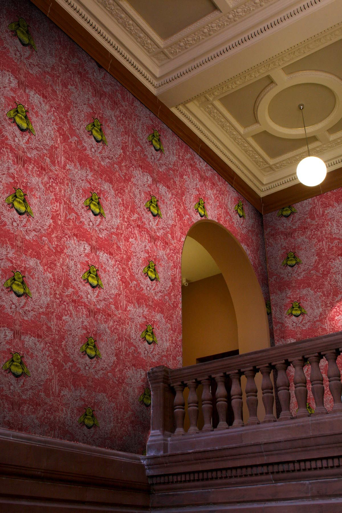 imperial apiary wallpaper by timorous beasties on adorn.house