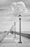 johnny mercer's pier